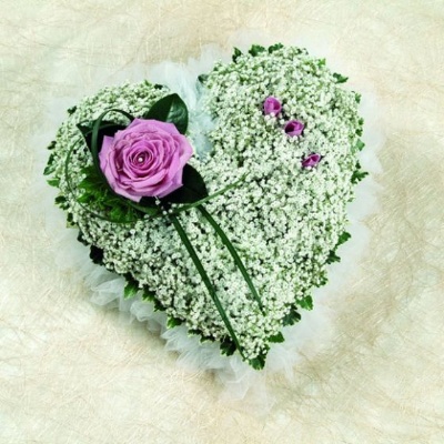 GYPSOPHILA HEART